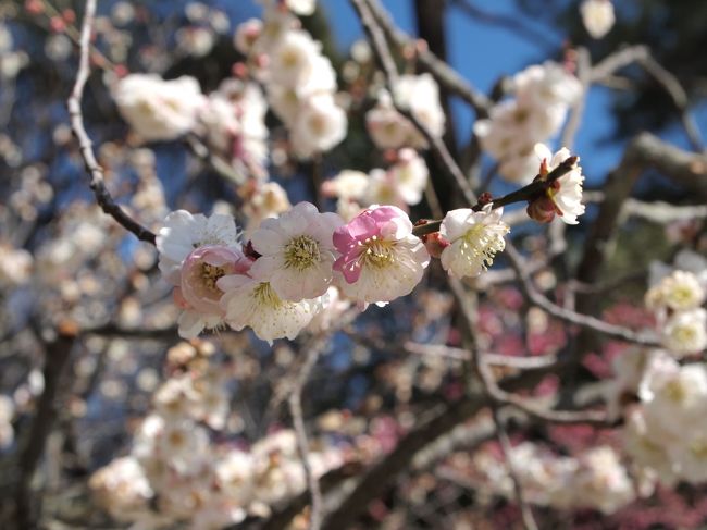 三つ目、思いの儘（おもいのまま）です。