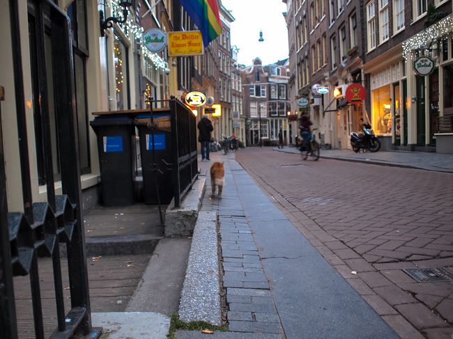 のそっと散歩。