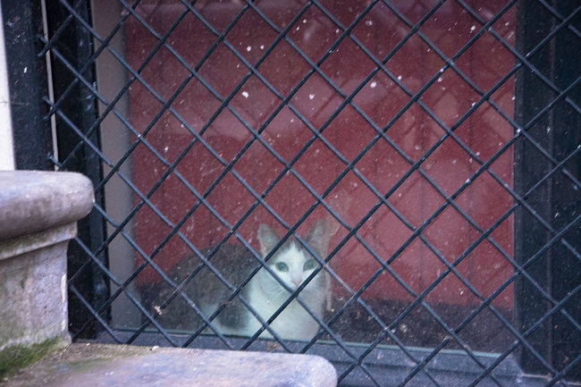 赤い窓に佇む。。