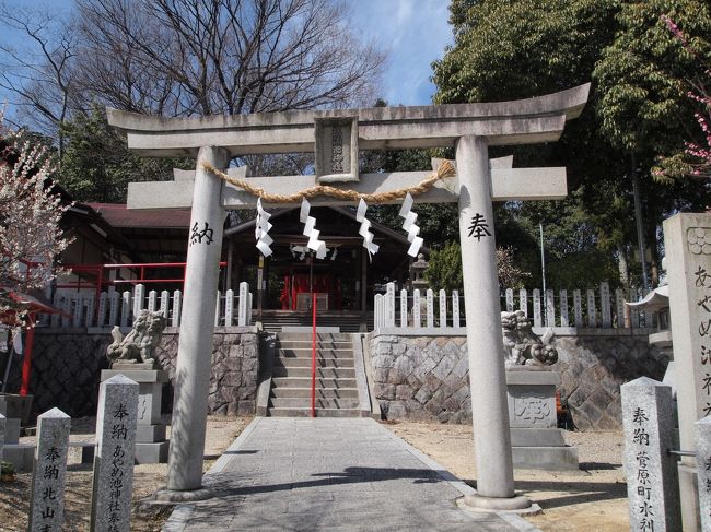 菖蒲池神社です。<br />市杵島姫命（いちきしまひめのみこと）、野見宿禰命（のみのすくねのみこと）、菅原道真公がお祀りされています。
