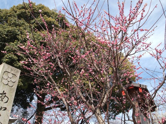 紅梅があり、石柱には菅原道真公の梅鉢の紋が入っています。