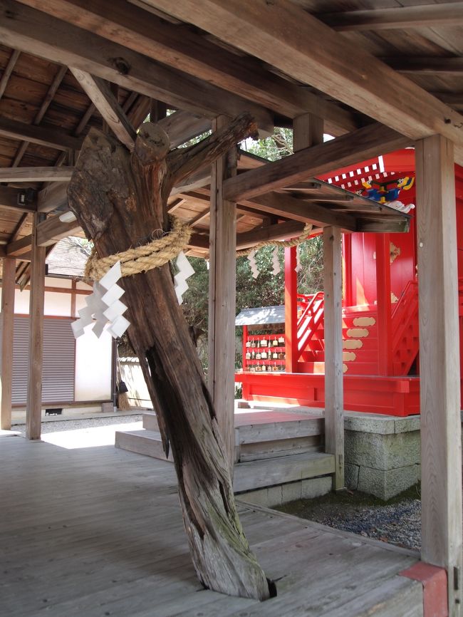 拝殿には、樹の幹が残されています。<br />ご神木だったのでしょうか。
