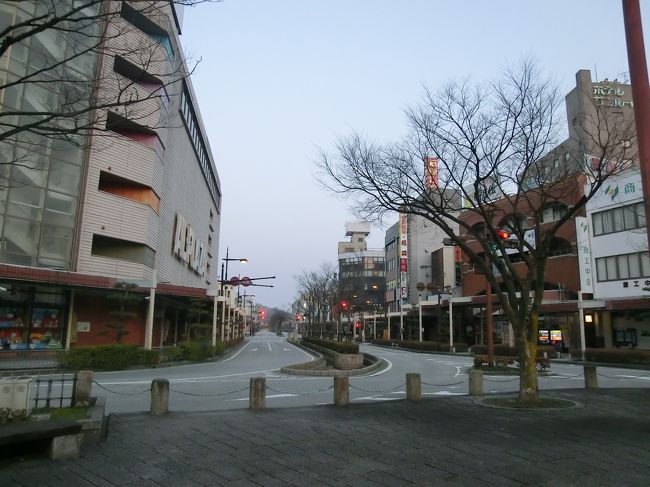 駅前メイン通り。<br /><br />とおーーーーくの方に彦根城が見えました。