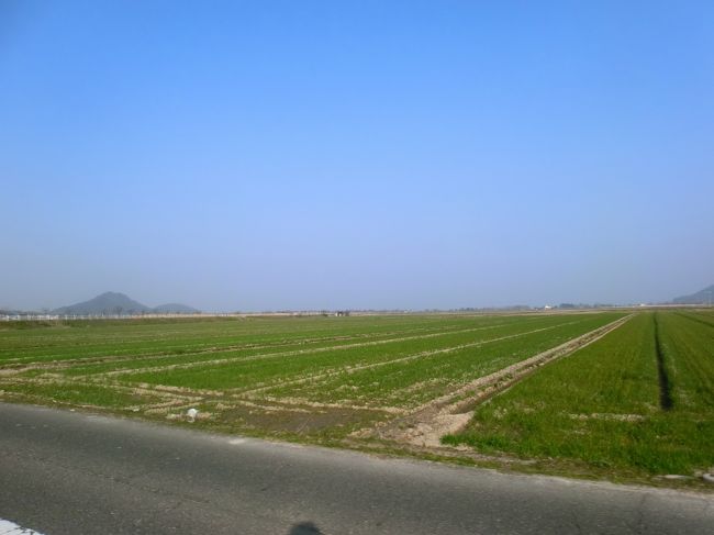 畑の脇を通ったり・・・