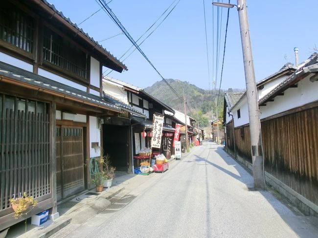 本当は琵琶湖の周辺をサイクリングしながらロープウェー乗り場まで行く予定でしたが、（私のせいで）大分時間をロスしてしまったのでこのままお堀に行くことにしました。