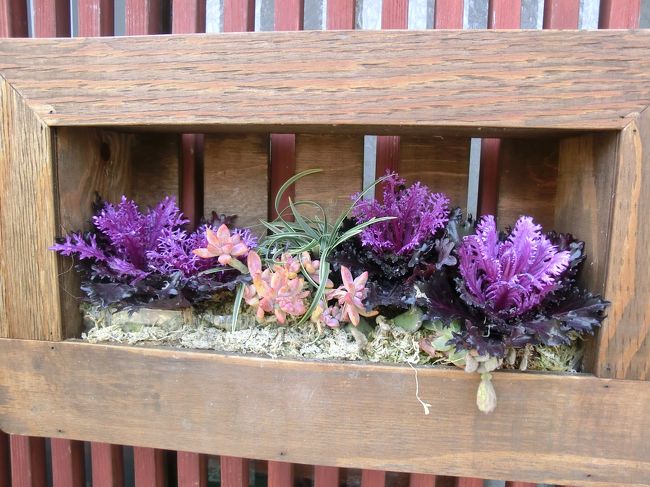 店先にはお洒落な花飾り。