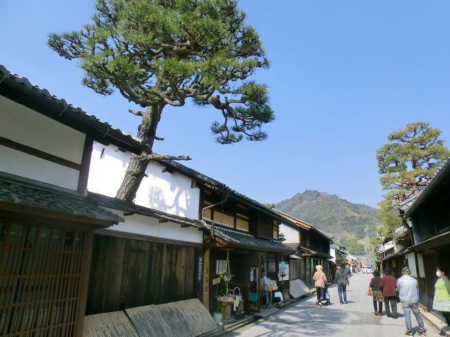 うーん！<br /><br />清々しい空気に雲ひとつない青い空、山を背景に散策する近江八幡の古い町並みはとても気持ちの良いものでした。
