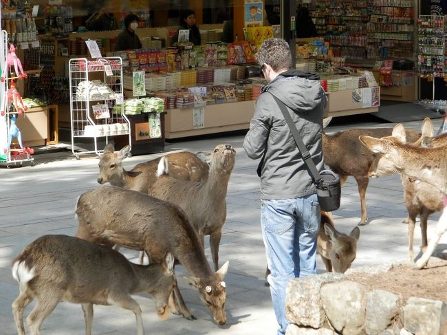 愚か者達は<br />こうして鹿さんの餌食になるの。。。