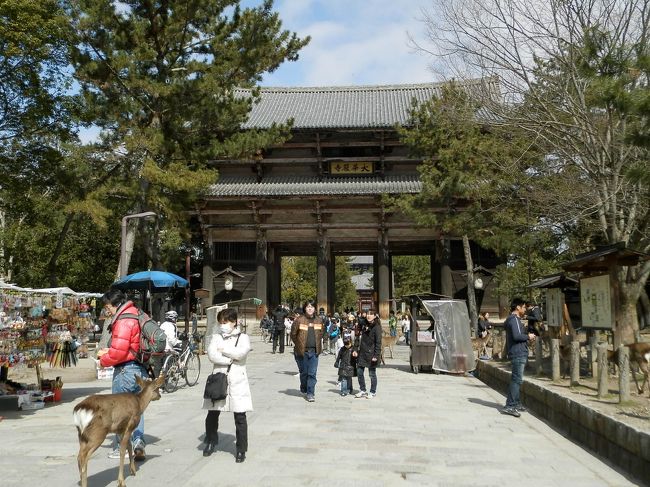 鹿さんを利用しない手はないの。