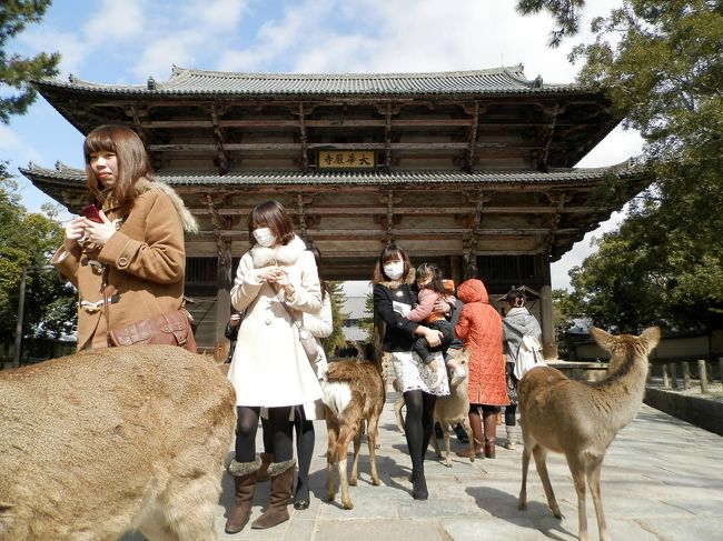 鹿さんに乗ったグーちゃんは<br />南大門に着いたの。