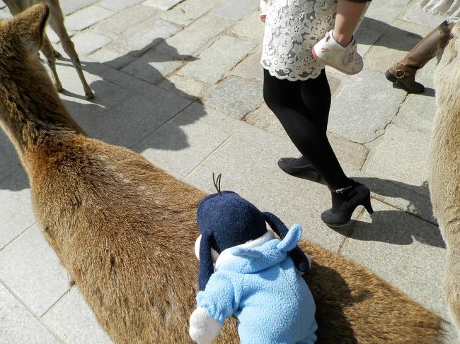 グーちゃんは世界一の<br />鹿さん使いと言われているの。<br />