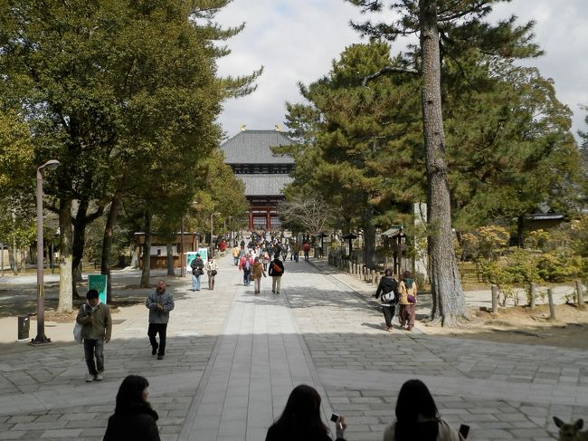 くまもんグッズなんて<br />たいした金額じゃないのに・・・。<br />