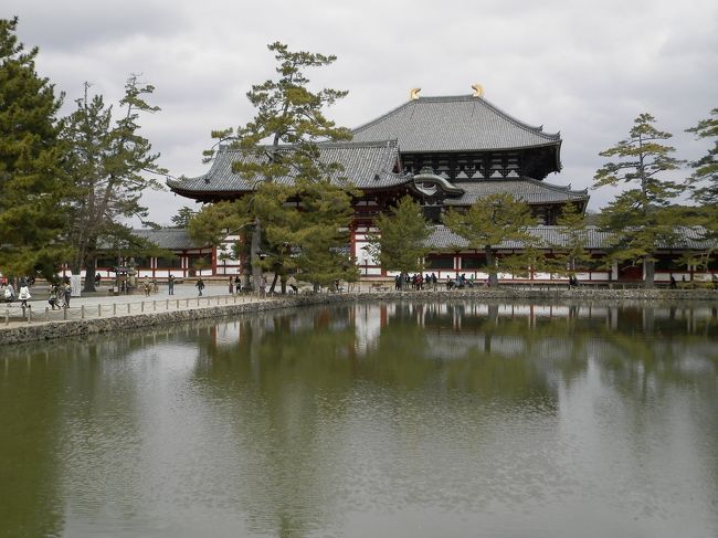 さ、気を取り直して観光するの！