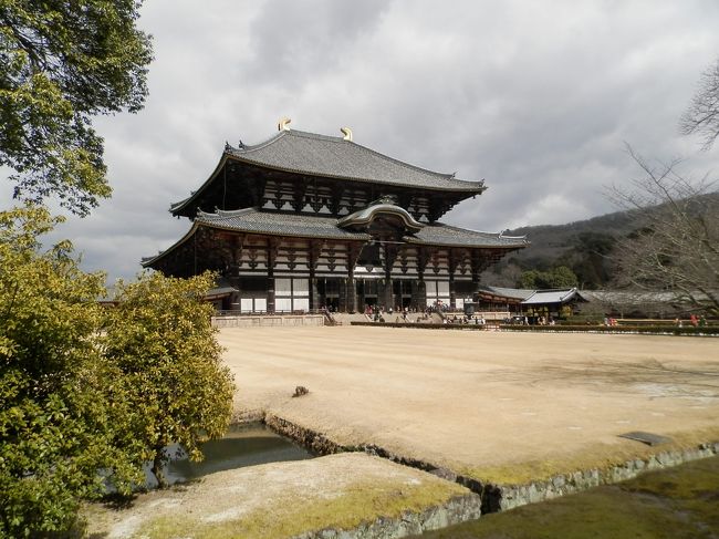 グーちゃんには<br />大仏様との面会という重要な<br />ミッションがあるの！