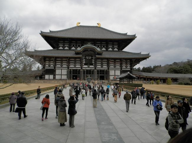鎌倉の大仏様は雨ざらしなのに、<br />奈良の大仏様はお家つきなの！！