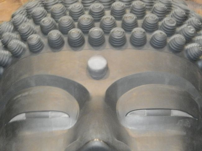 そうなの。<br />グーちゃんなの！<br />大仏様にお願いがあるの。<br />くまもんグッズをお土産に欲しいの！<br />くれなの！ｸﾞｯ!! (￣ε￣〃)ｂ