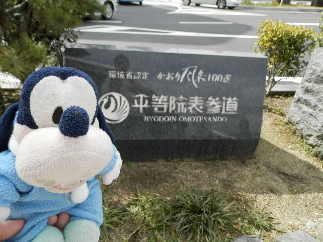 １０円玉の平等院を<br />取材しないわけにはいかないの！