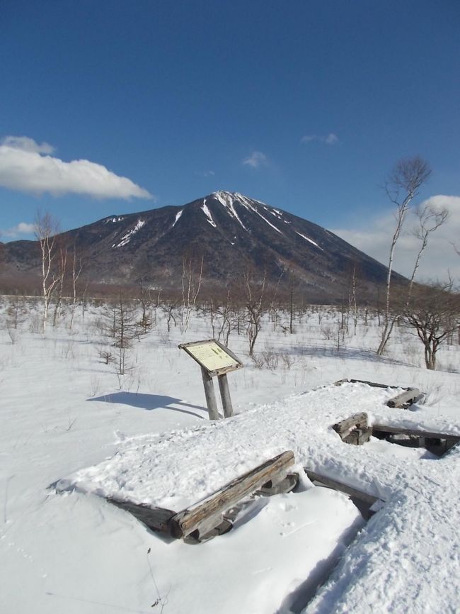 冬の戦場ヶ原ハイキング 日光 栃木県 の旅行記 ブログ By アライグマの湯さん フォートラベル