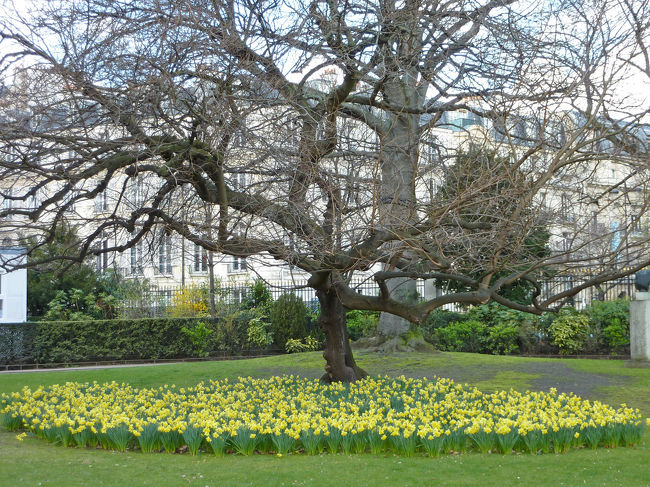 英語ですが<br />If winter comes, can spring be far behind?<br />なんてのがありますね。