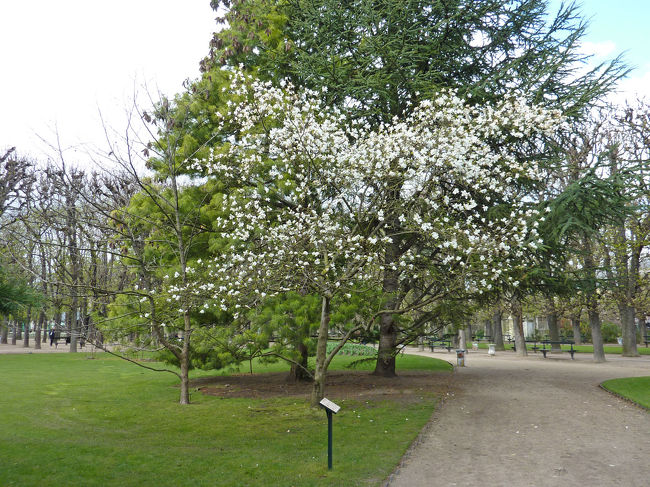 少しは咲いている花もありますが。