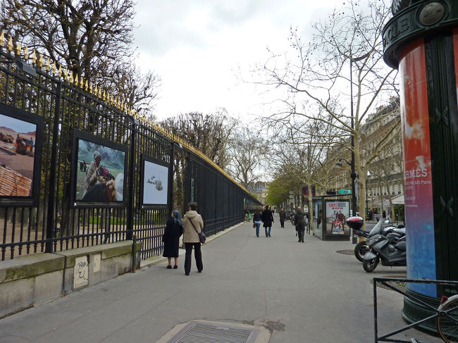 リュクサンブール公園へ。