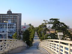 そして「矢立橋」の上からみた松並木。

すご〜く綺麗。真っ直ぐ続く松並木･･･

日光街道を歩いていて(･･･ってまだ２回）
一番爽快で、気持ちが良い道でした。