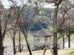 丸窓亭の近くから、下のほうをのぞくと、「浮見堂」が見えます。
来月になると、桜がとってもきれいで、写真スポットになっています。

昨年の桜の様子も、写真だけ整理したので、アップしようかと思いつつ…。
私の旅行記って、ひたすら「花」ばっかりだなと思って、迷いが生じてます(笑)