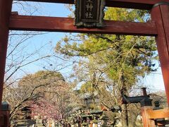 国立博物館の地下にあるミュージアムショップへ立ち寄り、その後、道路の向かい側にある「氷室神社」へ。
桜にはまだ早いのはわかっていたのですが、せっかく近くまで来たので。