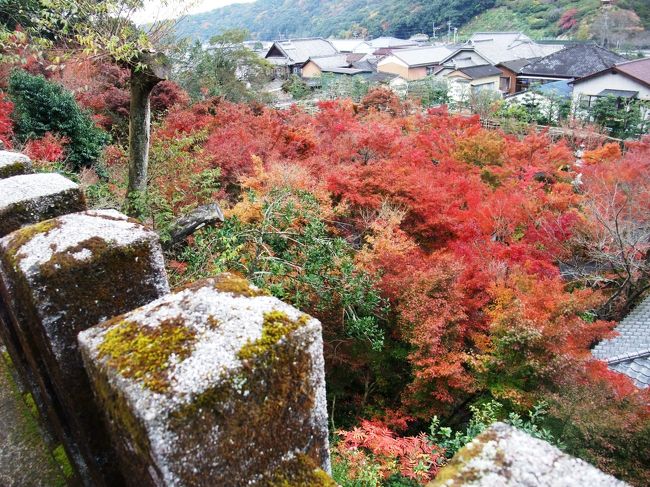 秋の祐徳稲荷参拝 太良 鹿島 佐賀県 の旅行記 ブログ By ナオさん フォートラベル