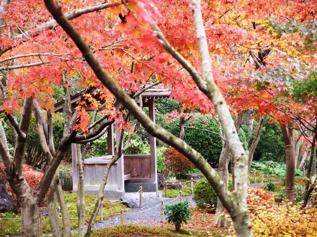 秋の祐徳稲荷参拝 太良 鹿島 佐賀県 の旅行記 ブログ By ナオさん フォートラベル