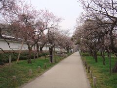 弘道館公園を歩きます。