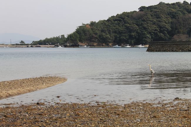 普賢寺の近くの海岸