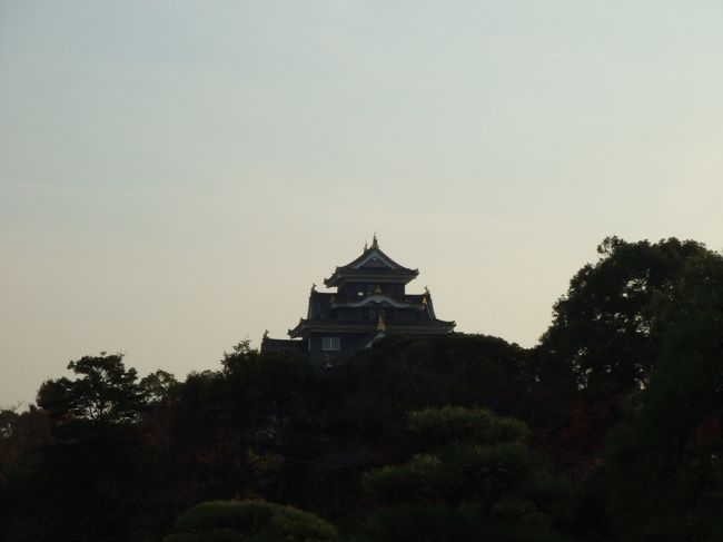 園内から岡山城を眺める。