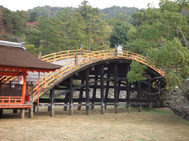 本殿を参拝して、平舞台、高舞台、能舞台、反橋（写真）を見物。<br /><br />この後、潮がどんどん満ちてきた。