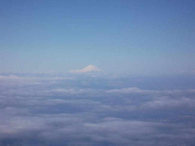 富士山が見えました。。