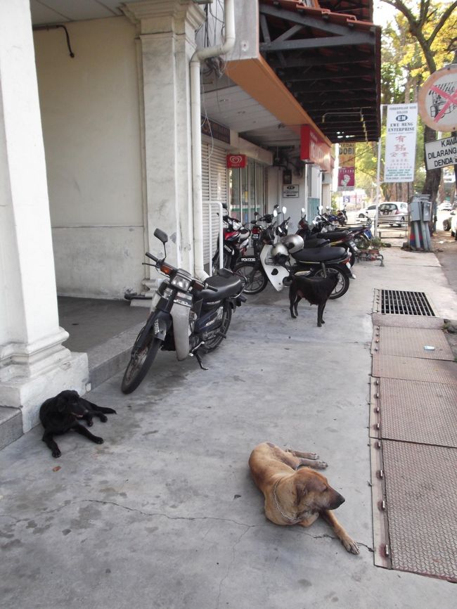 仲間もいました。