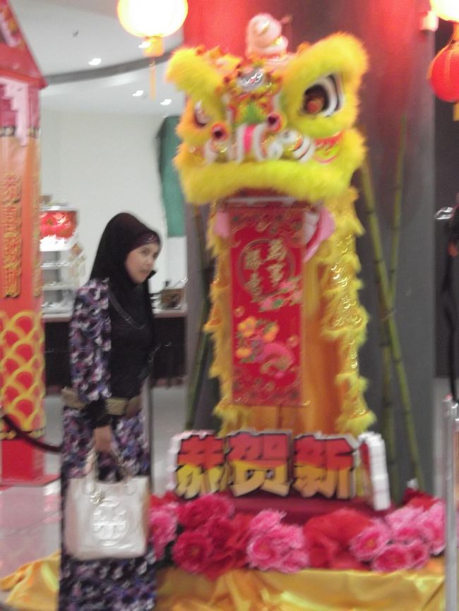 旧正月の時期だったので所々で御獅子の飾りを目にしました。