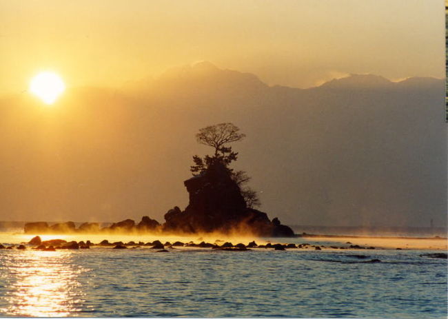 同じくお借りした画像。<br />まず、カメラから変えないとダメだな。。。