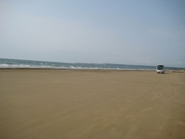 あっキタキタ！