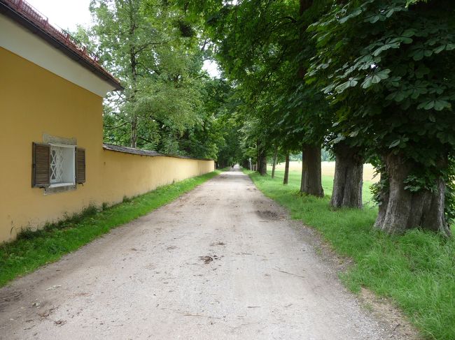 0:21:33<br />マリアはバスから降り、歌いながらトラップ家へ向かいます。<br />♯自信を持って<br />♪I have confidence　in　sunshine♪<br /><br />2008/07/09