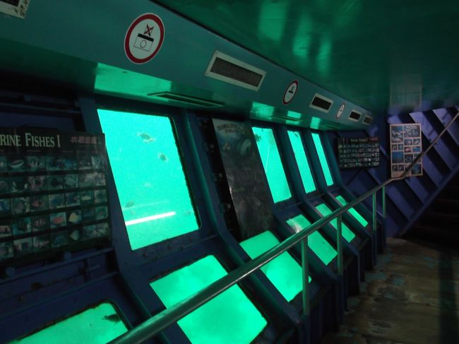 ポンツーンの底から海底を見ることが出来ました。