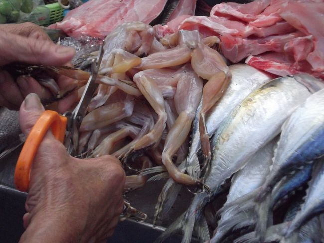 かえるの足が売られていました。