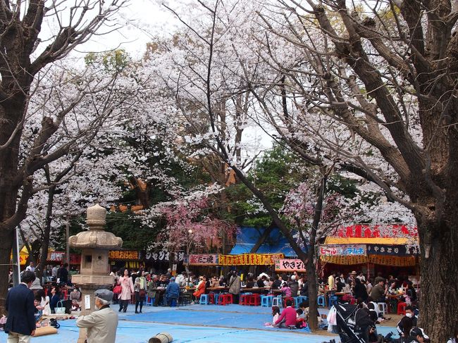 江戸東京まちなか散歩 ６ 13 千代田 さくらの名所をゆく 千鳥が淵 靖国神社 外濠公園編 神田 神保町 東京 の旅行記 ブログ By 紅い翼さん フォートラベル