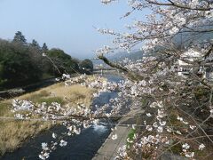 　右手にある錦川の清流を眺めつつ、終着の錦町には8時に到着した。2時間ほど時間があるので、小さな町の中をあれこれ歩いて、神社や吊り橋などを写真に収めた。

＠春