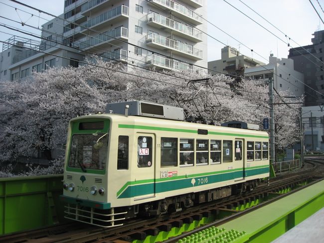 13 都電荒川線 桜さんぽ（早稲田～王子駅前）』早稲田・高田