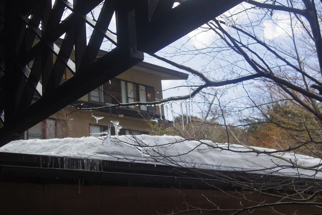 出発までロビーで車を待っていて<br /><br />ふと窓の外を見ると<br />小枝に氷柱が！<br /><br />外は寒いんだろうな…