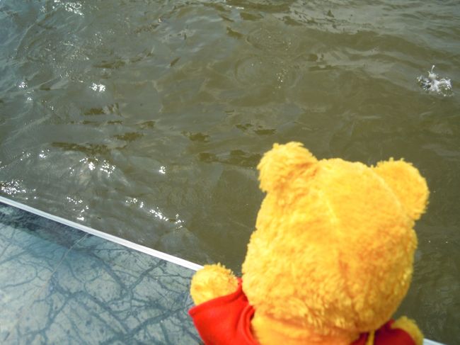 川にはお魚ちゃんが沢山！！<br /><br />“おさかなちゃん☆　ぷーたんだよぉ☆　あちゅくなでしゅか？？”<br /><br />旦那ちゃん曰く。<br />お客さんが朝食のパンとか落とすからじゃないかーって！