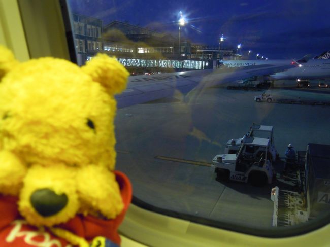 <br />あーあ。羽田に到着しちゃった。。。<br /><br /><br />“まだおりたくないでしゅ・・・・。”