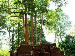 ココは初めての遺跡：Chau Say Tevoda。
最初に目に入ったのは、キレイに積み重ねられた大きな赤茶の石。