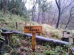 数分で今度は多峯主山の登り口。